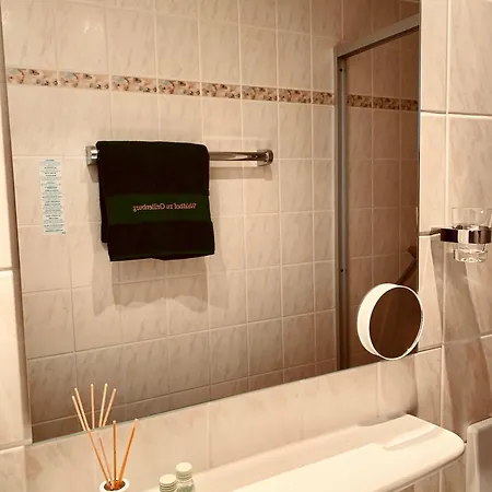 Waldhof Zu Grillenburg Im Tharandter Wald Am Гостевой дом 3*