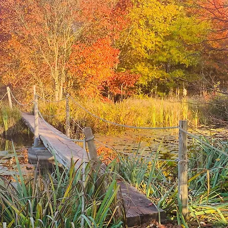 Waldhof Zu Grillenburg Im Tharandter Wald Am Tharandt